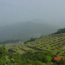 형재 농장 이미지