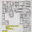 신장