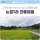 노암1리 진등 이미지