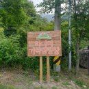 [No 광고][충북 충주] 하너미캠핑장 - 솔직후기