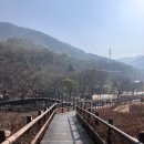서울 근교 북한산국립공원 사패산(551m) 송추계곡 코스 원각사 코스 하산 등산초보 등린이