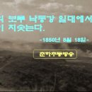대구중앙