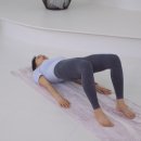 바디브릿지 이미지