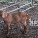 성호농장 이미지