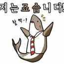 조이플투어 이미지
