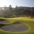 하이원 컨트리클럽 이미지