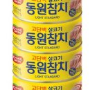 난참치
