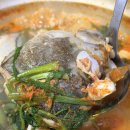 양푼이생태탕 | 서울 사당동 근처 동네숨은 미나리가득 생태탕 생대구탕 맛집 내돈내산