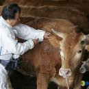 구지동물병원 이미지