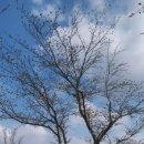 백구소공원 이미지