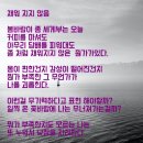 용인대 은성 태권도 이미지