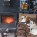 산골쉼터 이미지