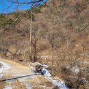 단양군 어상천면 군유지산아래 마을과떨어진 남향토지*급매매* 2,450㎡(741평) 5,500 이미지