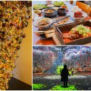 노형 | 1월 제주도 애월 가볼만한곳 마마롱제주, 광해 애월, 노형수퍼마켙 후기