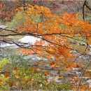 오드래산방