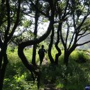 사하구-09 Daum카페