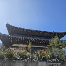 가평 아침고요수목원 한옥 카페 고요재