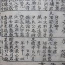 박란 카카오 검색결과