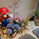 수레국밥 이미지