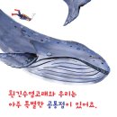 엄마 젖을 먹고 자라는 나는 포유류 | 캐시 에반스 (지은이),비아 멜루 (그림),이계순 (옮긴이) | 키다리 이미지