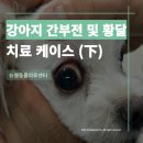 반월동물병원 이미지