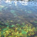 용문산관광지 야영장 이미지