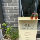 아르브아