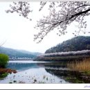 고남저수지 이미지