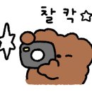 bhc 해운대장산점 이미지