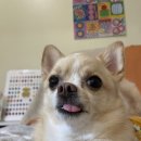 네일모네