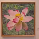 창녕미술협회전 이미지