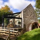 Luxury Dog 이미지