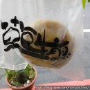초포 | [대만, 타이난] 만두 맛집 소개 / 초포생전 / 차오바오 성지엔 / 草包生煎
