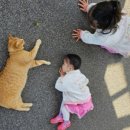 제주스테이 휘움 이미지