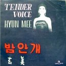 밤안개 - 수원시 장안구 | 밤안개
