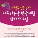 아우라 농장 이미지