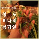 청계안심상회 | 청도 미나리 삼겹살 택배 주문해서 먹기