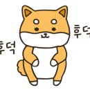 이레밀 이미지
