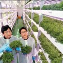 김호영농장 이미지