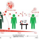 인플루엔자 A독감 A독감전염 정리 이미지