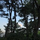 산청추어탕 - 창원시 성산구 연덕로184번길 46 | 산청추어탕
