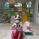 법무사이영상 | (2021년8월24일~26일)생후995일~997일