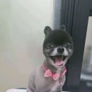 아름답고 예쁘개 이미지