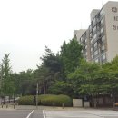 분당-233 이미지