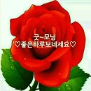수지상사 이미지
