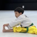 충효태권도(성성교육관) 이미지