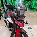트라이엄프 오토바이 타이거 900 GT 아라곤, 한정판 어드벤처 바이크의 매력