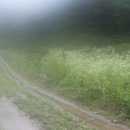 꽃, 이어라 이미지