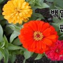 바람결 따라 가을의 신선함이 느껴지는 9월 첫 주말에 이미지