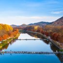 먹거리국수 이미지